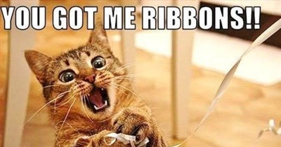 YOU GOT ME RIBBONS!