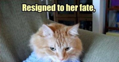 Resigned to her fate