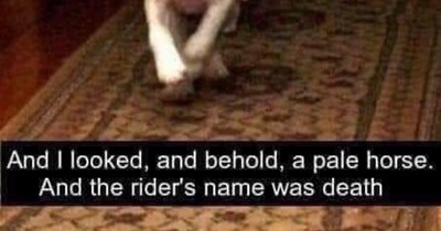 And rider's name was death