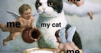 me me my cat me