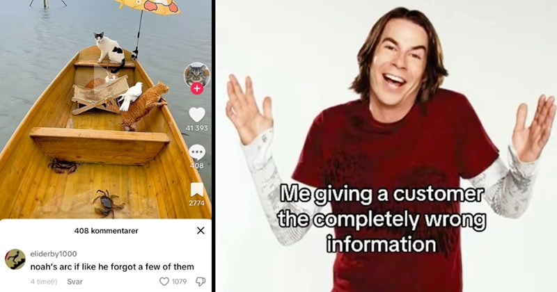 tiktok, tiktoks, viral tiktok, tiktoker, comments, funny comments, cringe, stupid people, crazy people, social media, gen z, screenshots, funny screenshots