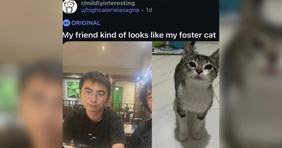 The Funniest Reddit Posts of the Week