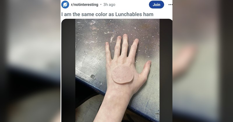 funny reddit reddit posts social media reddit thread Reddit funny Chronically Online - 44106757