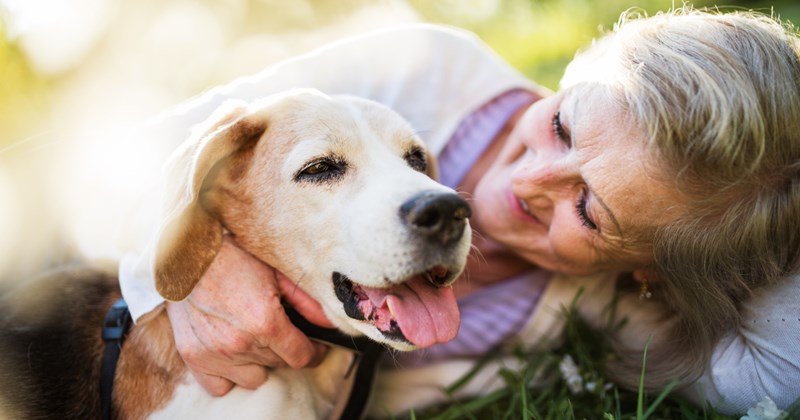 Mom refuses to dogsit for son's entitled fiance despite only working part time, couple give her the cold shoulder for setting boundaries: 'I have my own life, I'm not a built-in pet service'