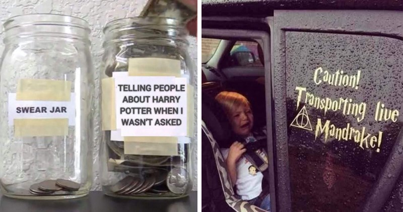 Harry Potter voldemort entertaining hedwig potterhead wand hogwarts students hermione granger Ron Weasley Dobby Hogwarts harry potter memes geeky memes geek wizard wizarding world