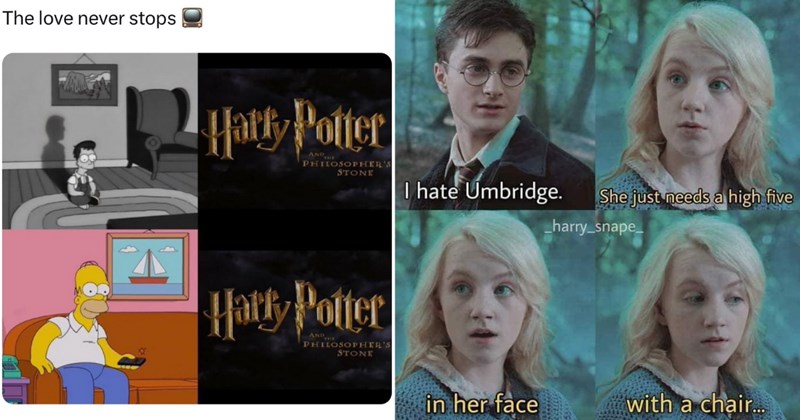 Harry Potter voldemort entertaining hedwig potterhead wand hogwarts students hermione granger Ron Weasley Dobby Hogwarts harry potter memes geeky memes geek wizard wizarding world