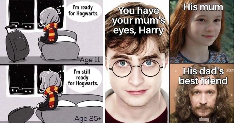 Harry Potter voldemort entertaining hedwig potterhead wand hogwarts students hermione granger Ron Weasley Dobby Hogwarts harry potter memes geeky memes geek wizard wizarding world