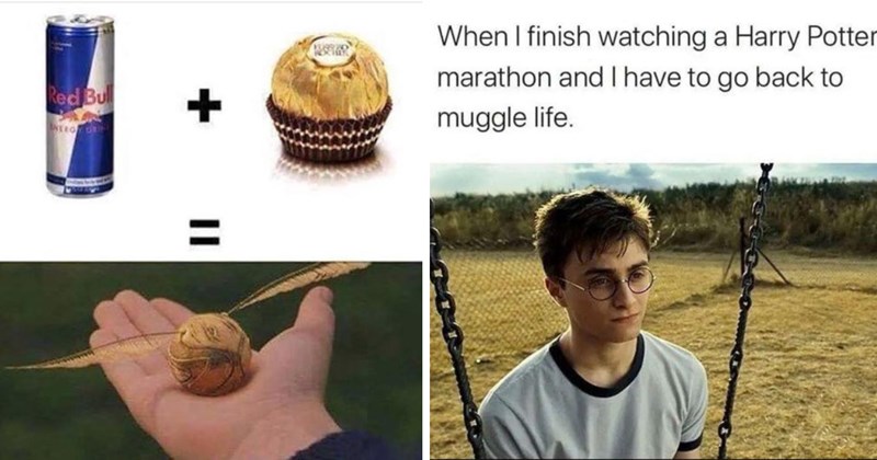 Harry Potter voldemort entertaining hedwig potterhead wand hogwarts students hermione granger Ron Weasley Dobby Hogwarts harry potter memes geeky memes geek wizard wizarding world