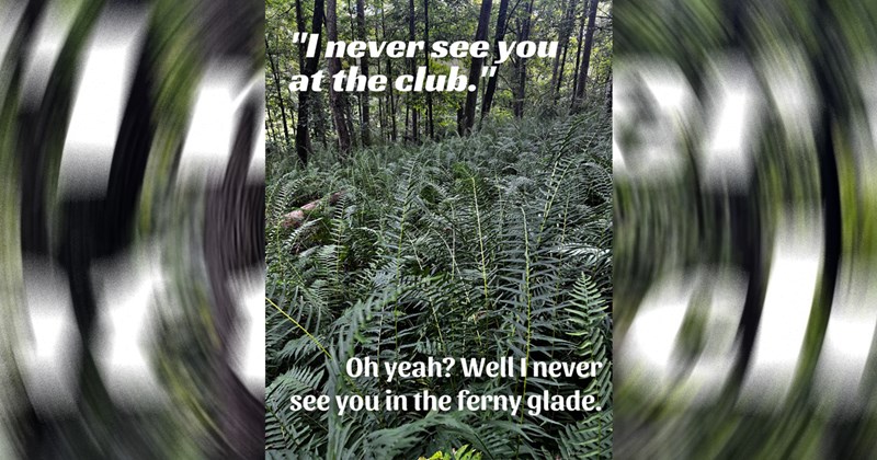 green memes, green, color, color memes, memes, funny, funny memes, wholesome memes, wholesome