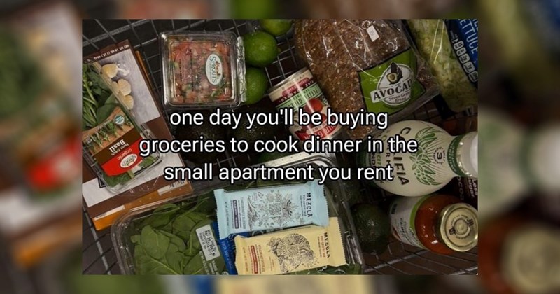 hot take hot takes twitter discourse modern discourse discourse groceries grocery store grocery shopping grocery stores grocery cooking trad wife tradwife erewhon inflation tweets relatable tweets tiktok viral tiktok