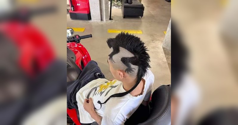 haircut, hair, cringe, hairdresser, barber, style, funny, funny pictures