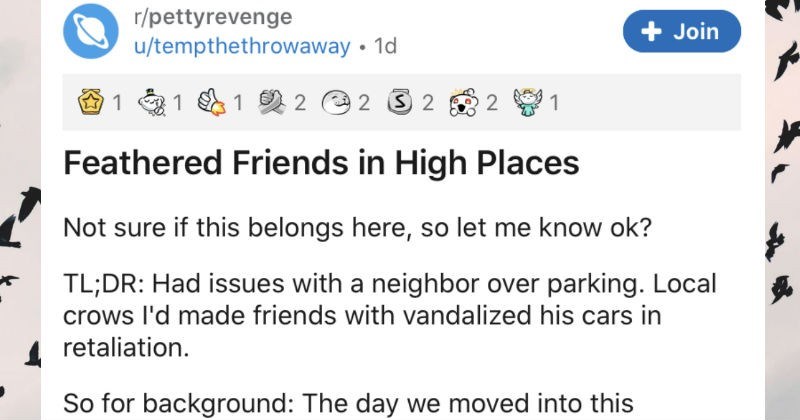 Guy feeds the crows, so the crows get back at bully neighbors for him | r/pettyrevenge u/tempthethrowaway Feathered Friends High Places Not sure if this belongs here, so let know ok? TL;DR: Had issues with neighbor over parking. Local crows l'd made friends with vandalized his cars retaliation. So background day moved into this apartment complex our across hall neighbors started bullying us. Why parked handicap spot next sidewalk building. Why handicapped.