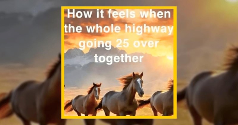 humor wholesome best adorable pleasant nostalgic memes relatable memes cuteness childhood relatable nostalgia cute Memes nostalgic positive lol Party meme comedy happy Funny Memes - 42498309