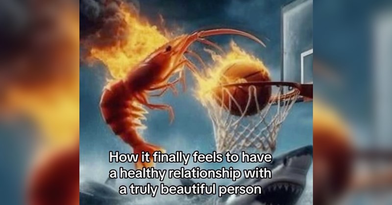 Heartwarmingly Wholesome Memes and Posts 