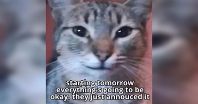 The Best Heartwarmingly Wholesome Memes and Posts of the Week