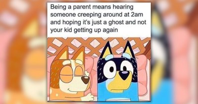 Hilarious Bluey Memes to Lighten Every Parent's Day