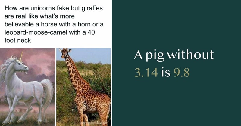 smart memes clever memes witty memes intelligent humor brainy jokes overthinking memes sarcastic memes memes for smart people nerd humor geek humor