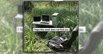 23 Calming Memes for the Hardworking Overworked Employee