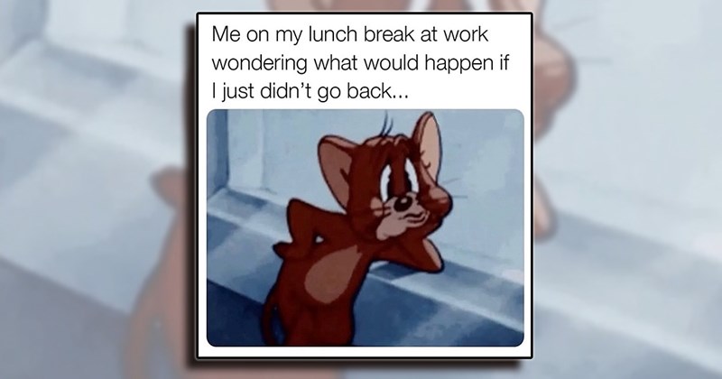 humor entertainment relatable Memes comedy laughing everyday funny casual Funny Memes - 44438533