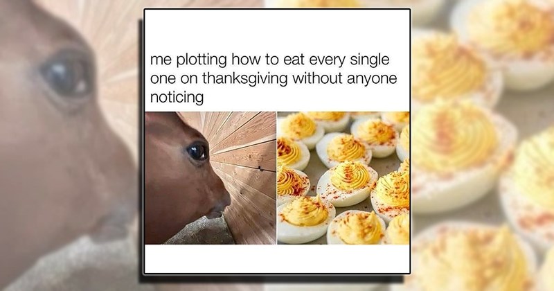 funny memes lol posts laugh laughter comedy humor jokes entertainment entertaining laughing thanksgiving festive holiday dinner food foodie