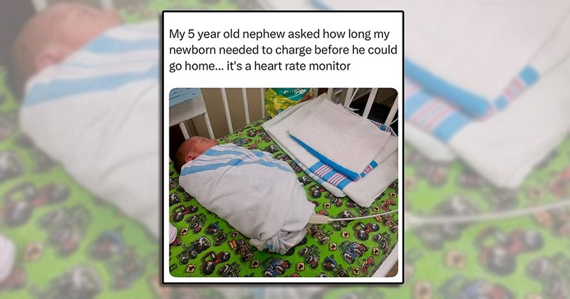 humor jokes parenting comedy curiosidades family happy laughing mom funny Funny Memes - 44109061