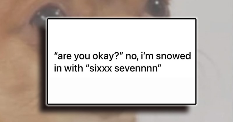 humor joking parenting dad comedy family laughing mom funny Family - 44188421