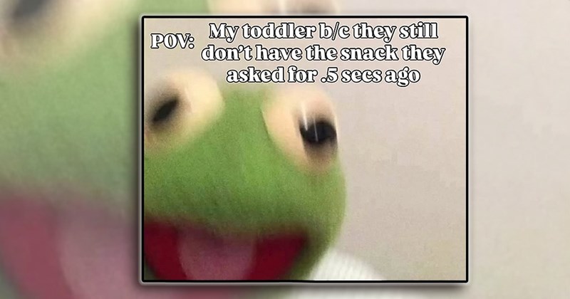 humor raising toddlers parenting dad comedy new parents family laughing mom Funny Memes - 44241413