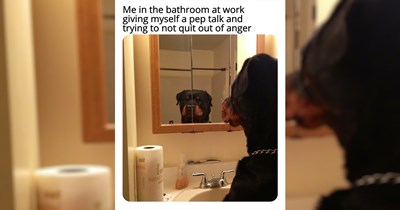 'I'm gonna need the rest of the day off': The best relatable work memes this week