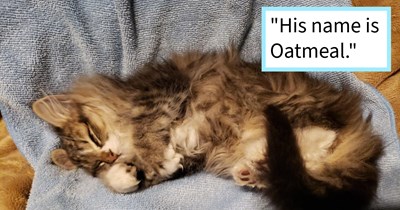 Kitten found in snowstorm saved by school janitor, after days of intensive care and cuddles kitten goes from barely moving to running strong, joining 5 strong fur family: ‘I really can't believe he lived through the night’