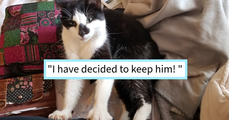 Family cat rough shape rescued adopted builder despite teenager’s vague claim cat ownership, worker says: ‘still feel like am kidnapping cat even though know he will better off warm loving home who can protect feed him.’ | thumbnail includes one image which shows a black and whtie cat lying on its side ‘“I have decided to keep him!”’