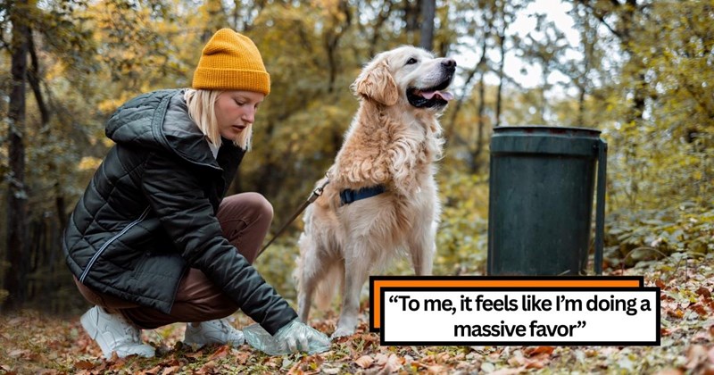 Woman demands her family member pay her $350 to dog-sit his "untrained" dogs two hours away, claiming it's needed to cover the costs of her missing four days of work and hiring her own cat-sitter