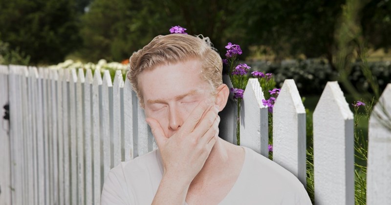 lawyer fence neighborhood-drama bad neighbors property line entitled people Neighbors - 44219653