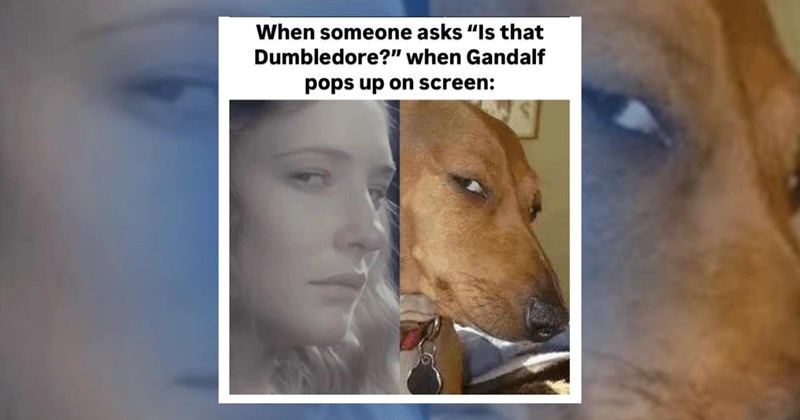 lotr lord-of-the-rings hobbit the-hobbit hobbits gollum aragorn legolas gimli lotr-memes memes lord-of-the-rings-memes balrog funny second-breakfast lol new