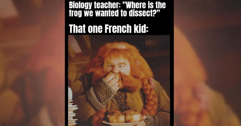 lotr lord-of-the-rings hobbit the-hobbit hobbits gollum aragorn legolas gimli lotr-memes memes lord-of-the-rings-memes balrog funny second-breakfast lol new