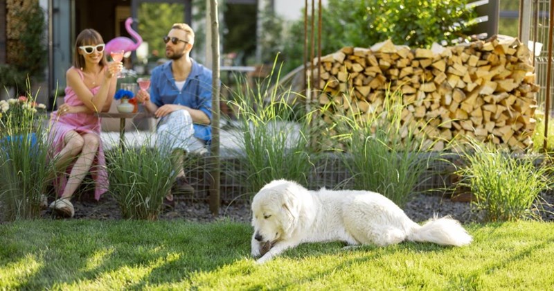 Entitled neighbor demands homeowners stop letting their dogs out, despite having a fully fenced yard, homeowners refuse: ‘That’s my prerogative'