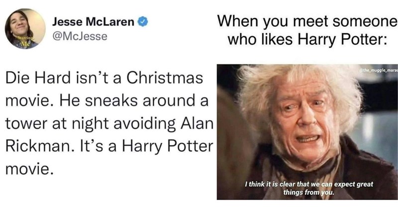 Harry Potter memes, funny Wizarding World jokes, Hogwarts humor, Harry Potter fan memes, magical school memes, Potterhead jokes, Harry Potter fandom, Harry Potter nostalgia, wizarding humor