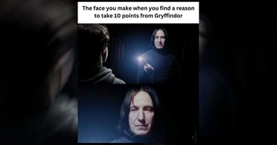The Best Harry Potter Memes of the Week