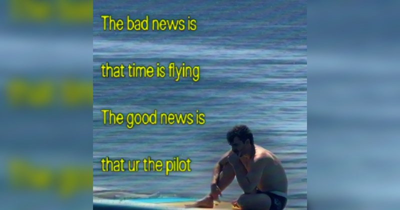 wholesome memes, wholesome, good, nice, animals, animal memes, cats, dogs, love, relationships, friendship, family, tweets, memes, positivity, funny, funny memes