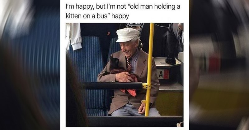wholesome, wholesome memes, nice, good, positivity, memes, funny, funny memes, cats, dogs, animals, animal memes, tweets, family, love, relationships, friendship