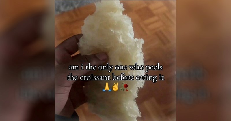 funny random memes random memes silly memes funny memes Memes twitter memes meme funny tweets animal memes funny Funny Memes - 44345093