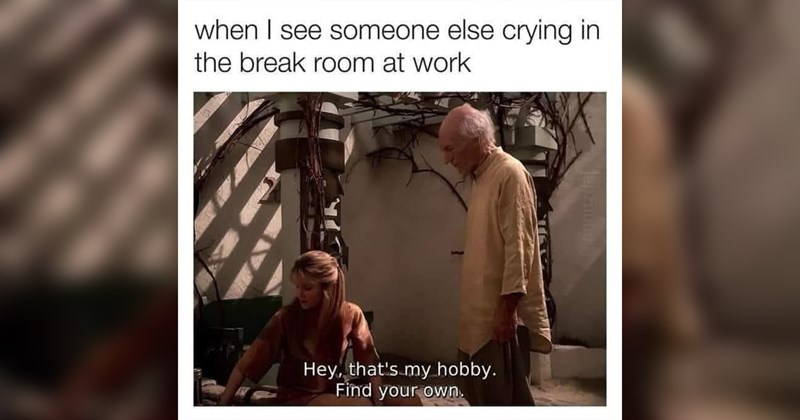 Memes Funny Memes relatable memes random meme dump random memes funny memes funny - 44193541