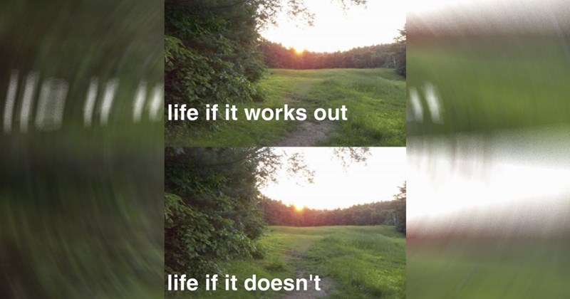 wholesome funny memes Memes nice good animal memes wholesome memes funny animals positivity Funny Memes - 44011781