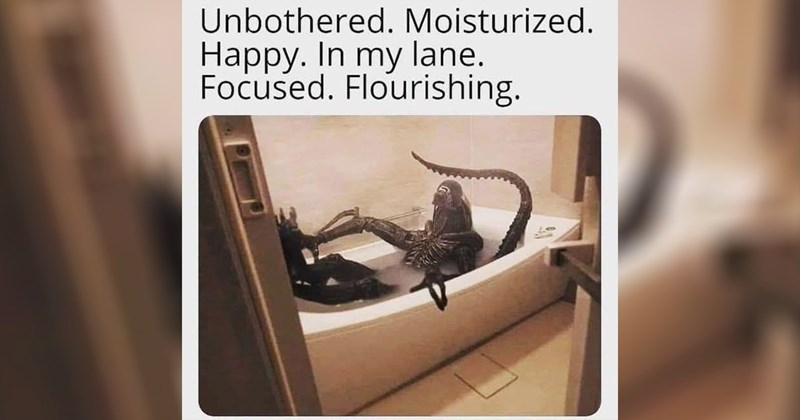 geek, star wars memes, scifi, star wars, geeky memes, nerdy, random memes, funny memes, memes, sci fi memes, sci fi, star trek, nerdy memes, star wars fan, science fiction, star trek memes, funny