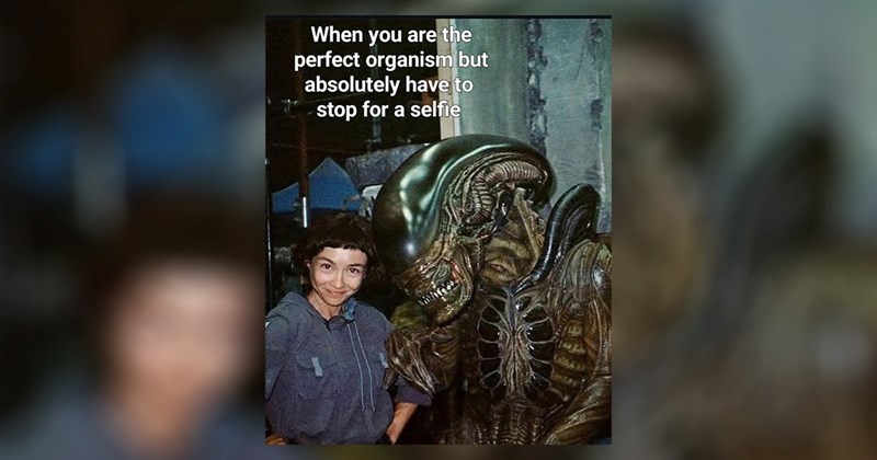  geek star wars memes scifi star wars geeky memes nerdy random memes funny memes Memes sci fi memes sci fi Star Trek nerdy memes star wars fan science fiction star trek memes funny