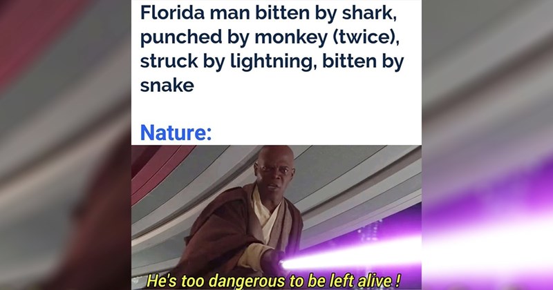 geek, star wars memes, scifi, star wars, geeky memes, nerdy, random memes, funny memes, memes, sci fi memes, sci fi, star trek, nerdy memes, star wars fan, science fiction, star trek memes, funny