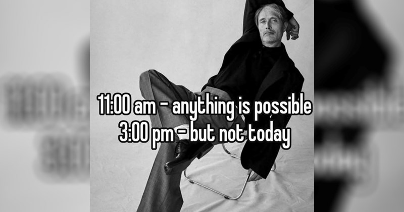 relatable memes dog memes random memes silly memes funny memes Memes meme silly funny tweets funny cat memes Funny Memes - 44473349