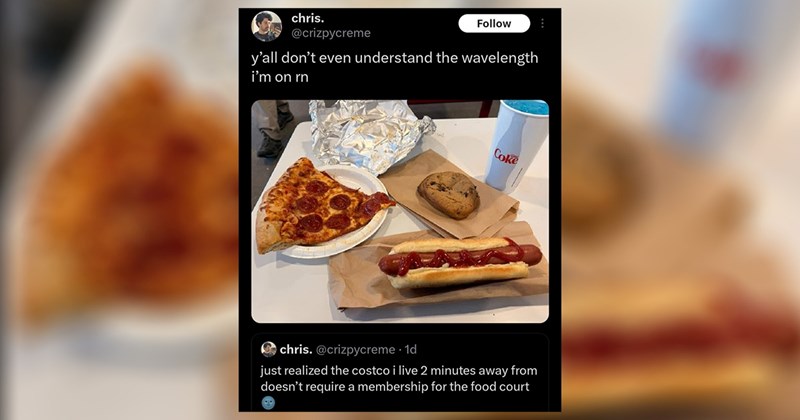 funny random memes dog memes random memes silly memes funny memes Memes twitter memes meme silly funny cat memes Funny Memes - 44325637