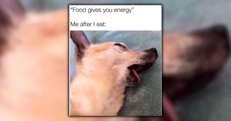 Memes thanksgiving dinner food