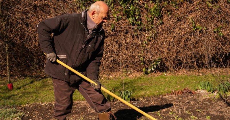 neighbor feud property dispute backyard conflict homeowner things story time