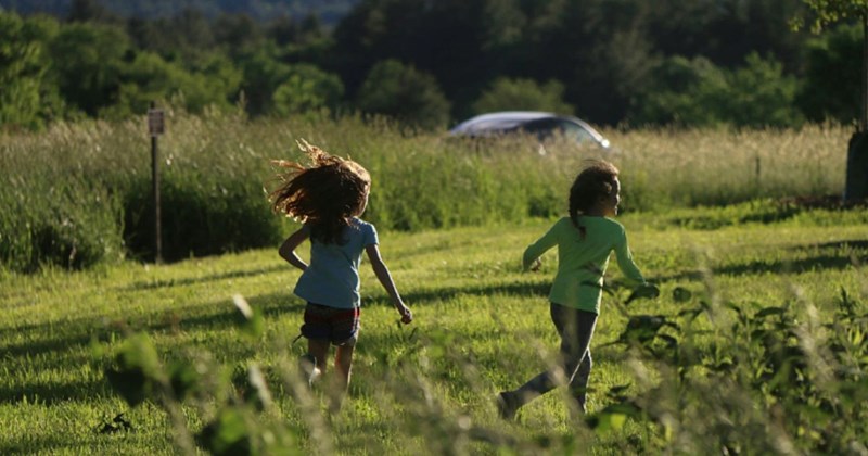property owner neighbors kids fence new homeowners neighborhood-drama parenting entitled people karma land dispute Bad Neighbor Neighbors - 42579973